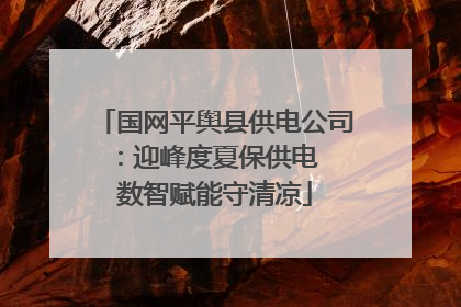 国网平舆县供电公司：迎峰度夏保供电  数智赋能守清凉