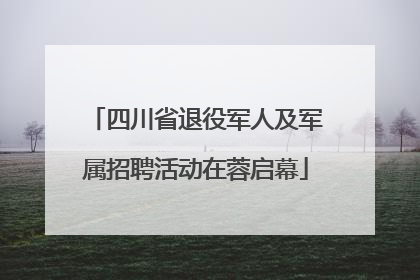 四川省退役军人及军属招聘活动在蓉启幕