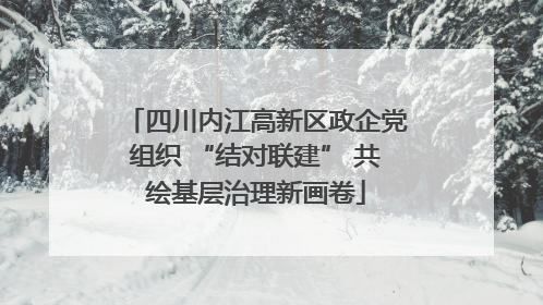 四川内江高新区政企党组织 “结对联建” 共绘基层治理新画卷