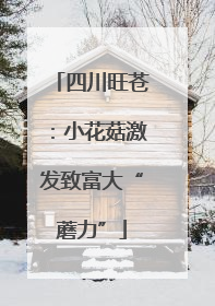 四川旺苍：小花菇激发致富大“蘑力”
