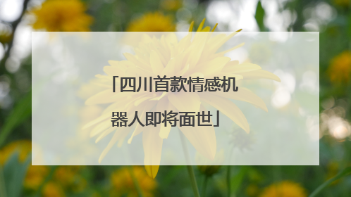 四川首款情感机器人即将面世
