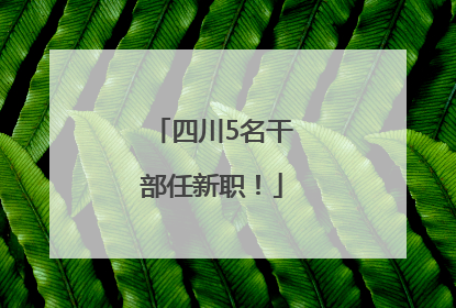 四川5名干部任新职！