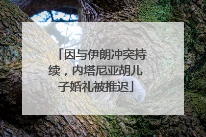 因与伊朗冲突持续，内塔尼亚胡儿子婚礼被推迟