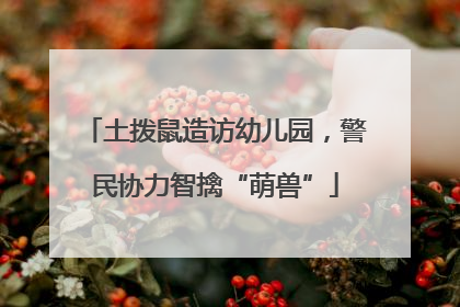 土拨鼠造访幼儿园，警民协力智擒“萌兽”