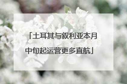 土耳其与叙利亚本月中旬起运营更多直航