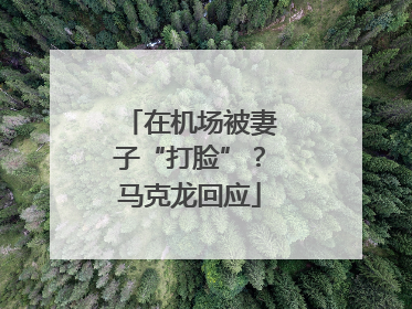 在机场被妻子“打脸”？马克龙回应