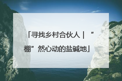 寻找乡村合伙人｜“棚”然心动的盐碱地