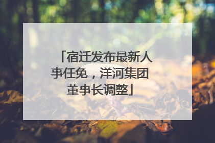 宿迁发布最新人事任免，洋河集团董事长调整