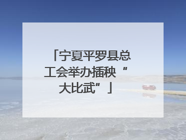 宁夏平罗县总工会举办插秧“大比武”