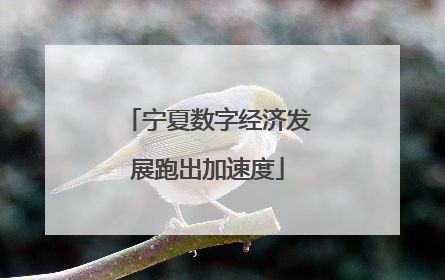 宁夏数字经济发展跑出加速度