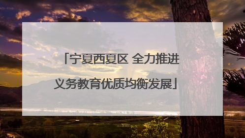 宁夏西夏区 全力推进义务教育优质均衡发展