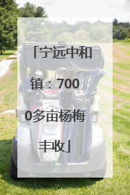 宁远中和镇：7000多亩杨梅丰收