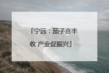 宁远：茄子喜丰收 产业促振兴