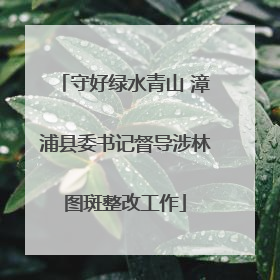 守好绿水青山 漳浦县委书记督导涉林图斑整改工作