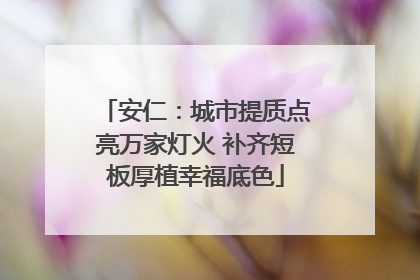 安仁：城市提质点亮万家灯火 补齐短板厚植幸福底色