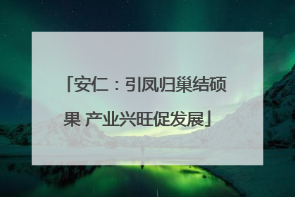安仁：引凤归巢结硕果 产业兴旺促发展