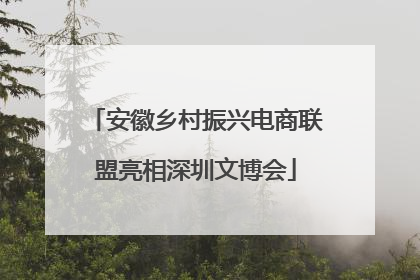 安徽乡村振兴电商联盟亮相深圳文博会