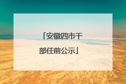 安徽四市干部任前公示