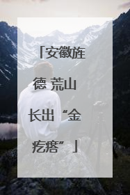 安徽旌德 荒山长出“金疙瘩”