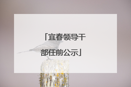 宜春领导干部任前公示