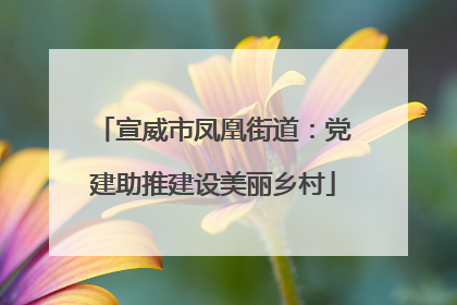 宣威市凤凰街道：党建助推建设美丽乡村