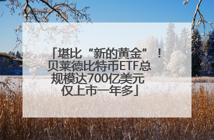 堪比“新的黄金”！贝莱德比特币ETF总规模达700亿美元 仅上市一年多