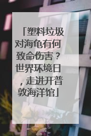 塑料垃圾对海龟有何致命伤害？世界环境日，走进开普敦海洋馆