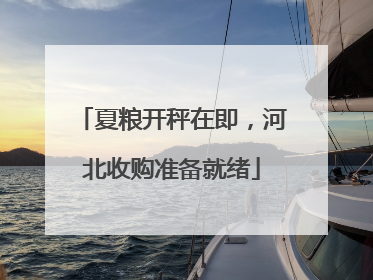 夏粮开秤在即，河北收购准备就绪