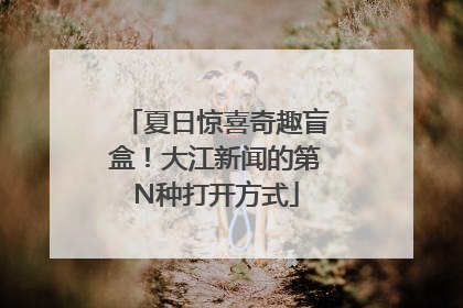 夏日惊喜奇趣盲盒！大江新闻的第N种打开方式
