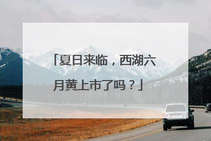 夏日来临，西湖六月黄上市了吗？