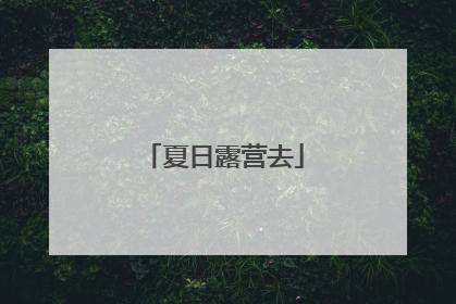夏日露营去