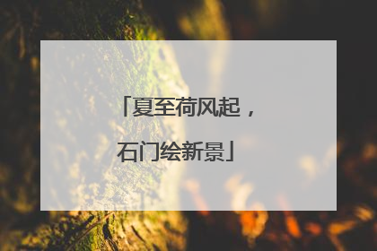 夏至荷风起，石门绘新景