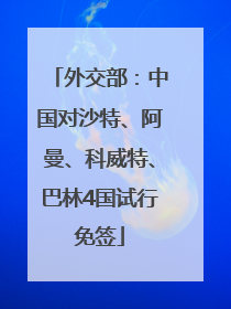 外交部：中国对沙特、阿曼、科威特、巴林4国试行免签