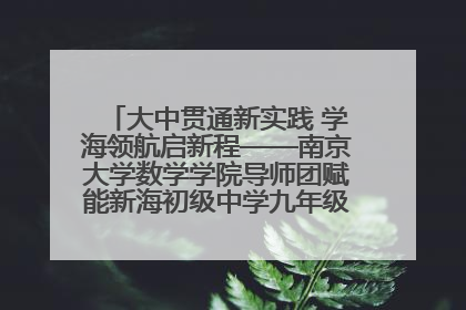 大中贯通新实践 学海领航启新程——南京大学数学学院导师团赋能新海初级中学九年级学子生涯规划