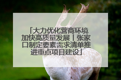 大力优化营商环境 加快高质量发展丨张家口制定要素需求清单推进重点项目建设