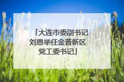 大连市委副书记刘恩举任金普新区党工委书记