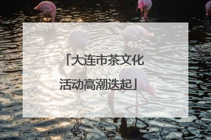 大连市茶文化活动高潮迭起