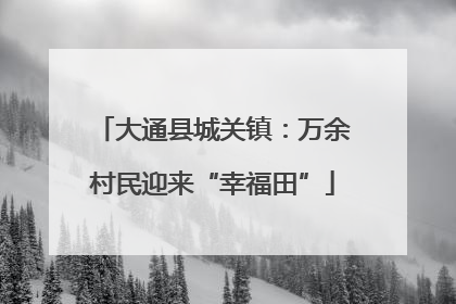 大通县城关镇：万余村民迎来“幸福田”