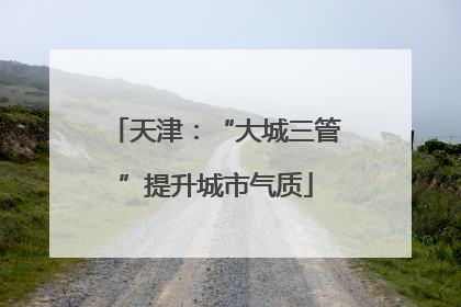 天津：“大城三管”提升城市气质