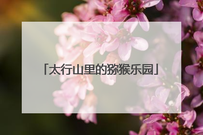 太行山里的猕猴乐园