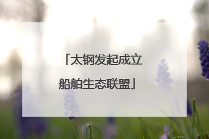 太钢发起成立船舶生态联盟
