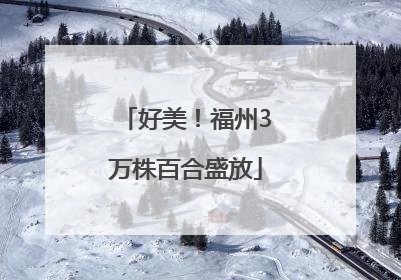 好美！福州3万株百合盛放