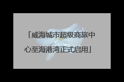威海城市超级商旅中心至海港湾正式启用