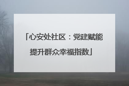 心安处社区：党建赋能 提升群众幸福指数