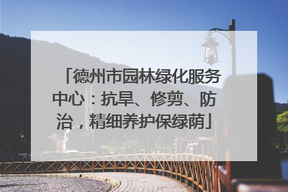 德州市园林绿化服务中心：抗旱、修剪、防治，精细养护保绿荫