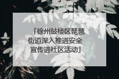徐州鼓楼区琵琶街道深入推进安全宣传进社区活动