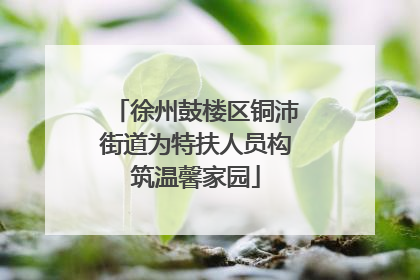 徐州鼓楼区铜沛街道为特扶人员构筑温馨家园
