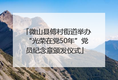 微山县傅村街道举办“光荣在党50年”党员纪念章颁发仪式
