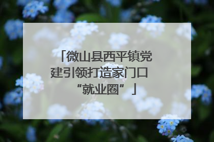 微山县西平镇党建引领打造家门口“就业圈”