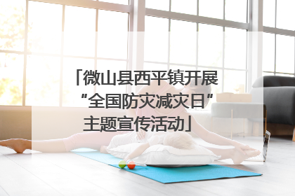微山县西平镇开展“全国防灾减灾日”主题宣传活动